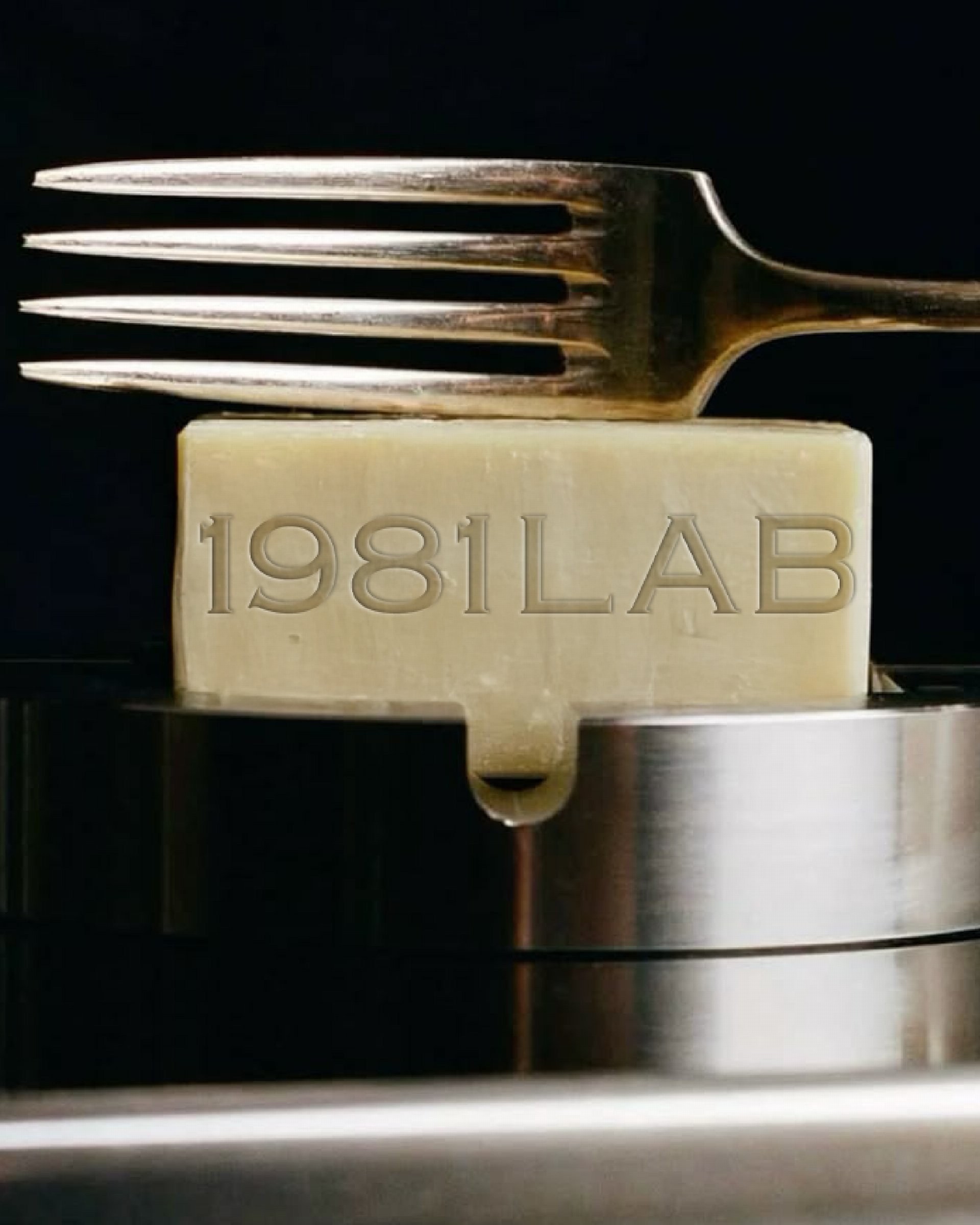 1981LAB — 10