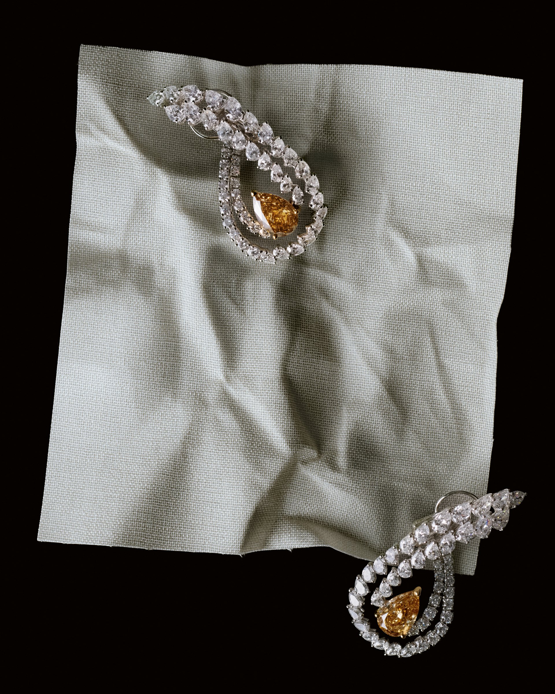 GILDED ODDITY - CRIVELLI SERIES — 11
